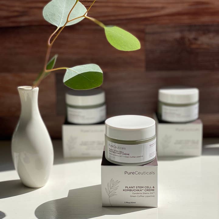 PureCeuticals Skin Care - Wholesale Facial Moisturizer - Plant Stem Cell & Kombuchka Crème3