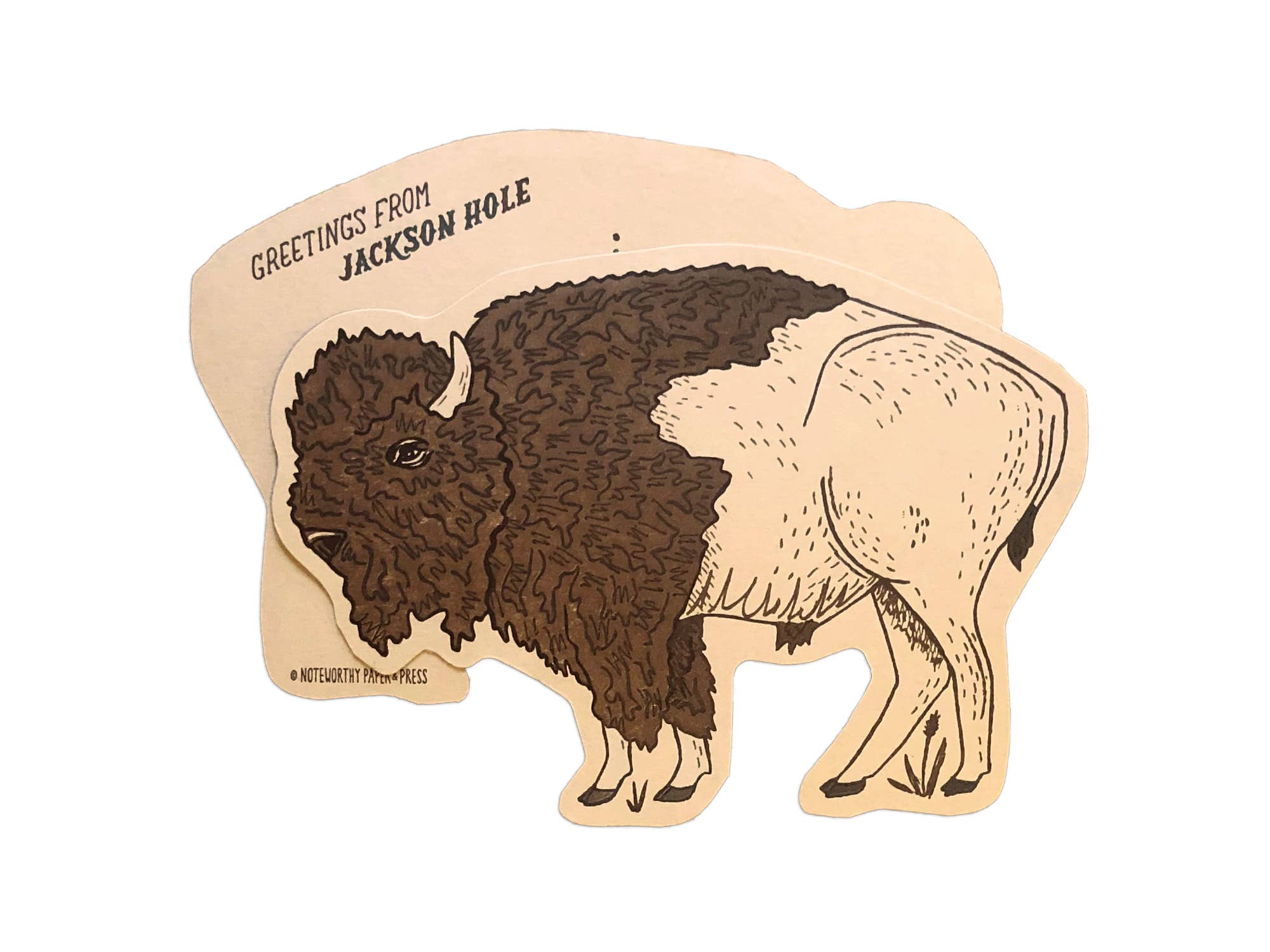Noteworthy Paper & Press - Wholesale Postcard - Bison Postcard7