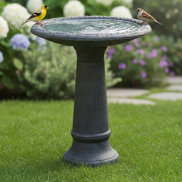 Bain d'oiseaux, gris - 20" x 24,5"H pour la vente par Algreen