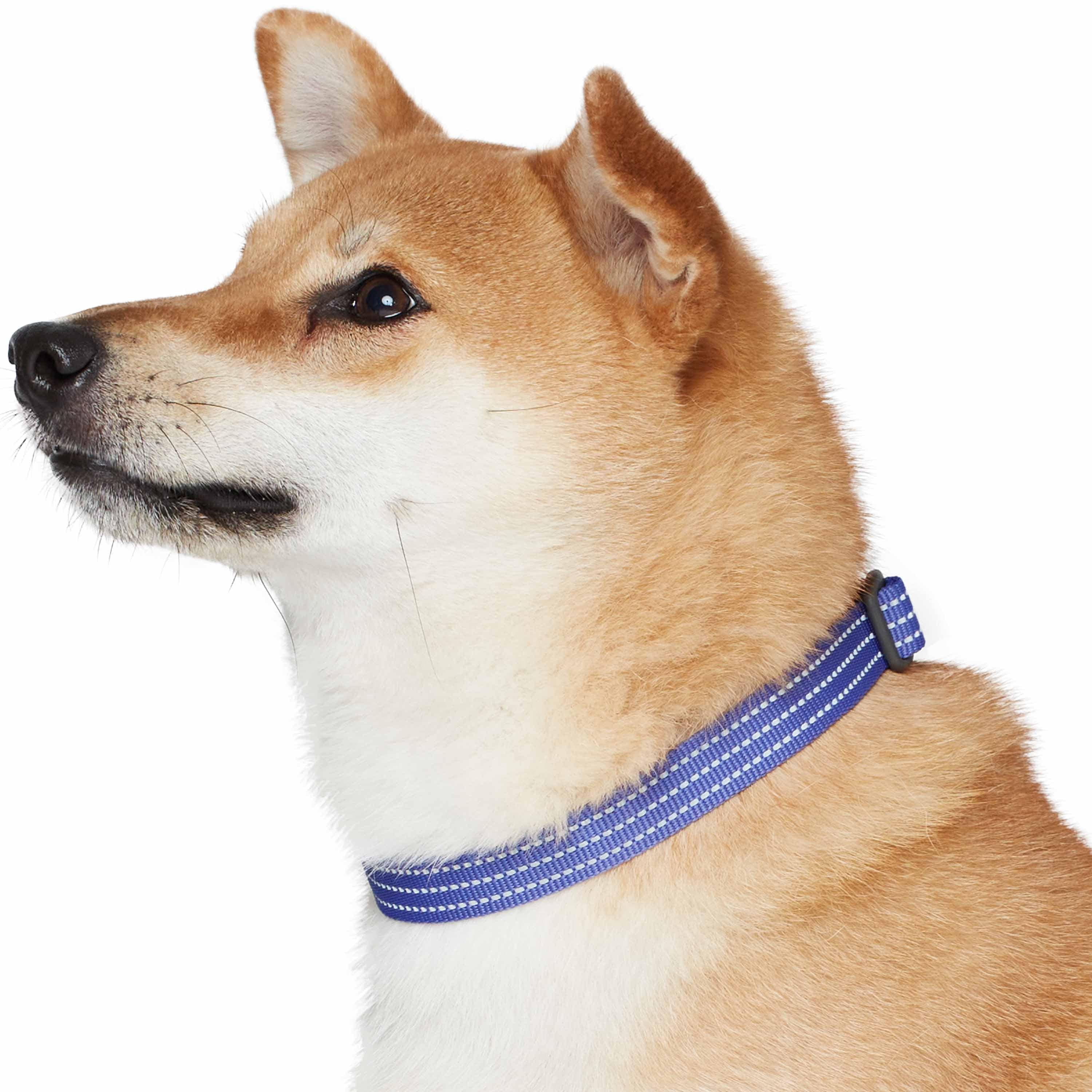 Blueberry Pet - Venta al por mayor Collar - Perros - Collar reflectante para perros Better Basic en 8 colores45