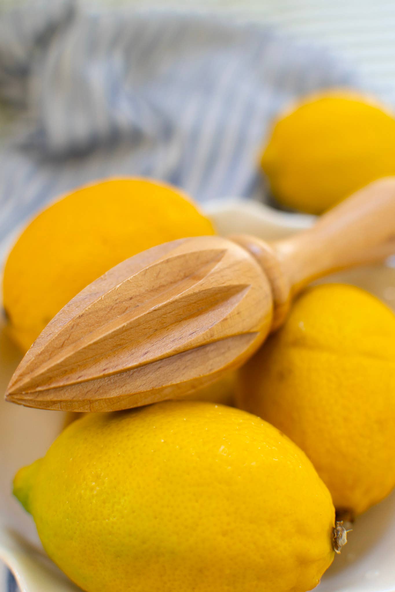 Zefiro - Vente Presse-agrumes - Presse-agrumes en bois de hêtre4