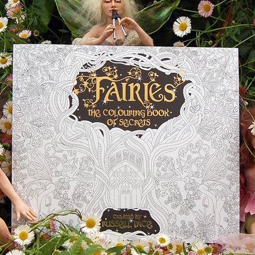 Fairies: The Colouring Book for wholesale by Fairygoodies