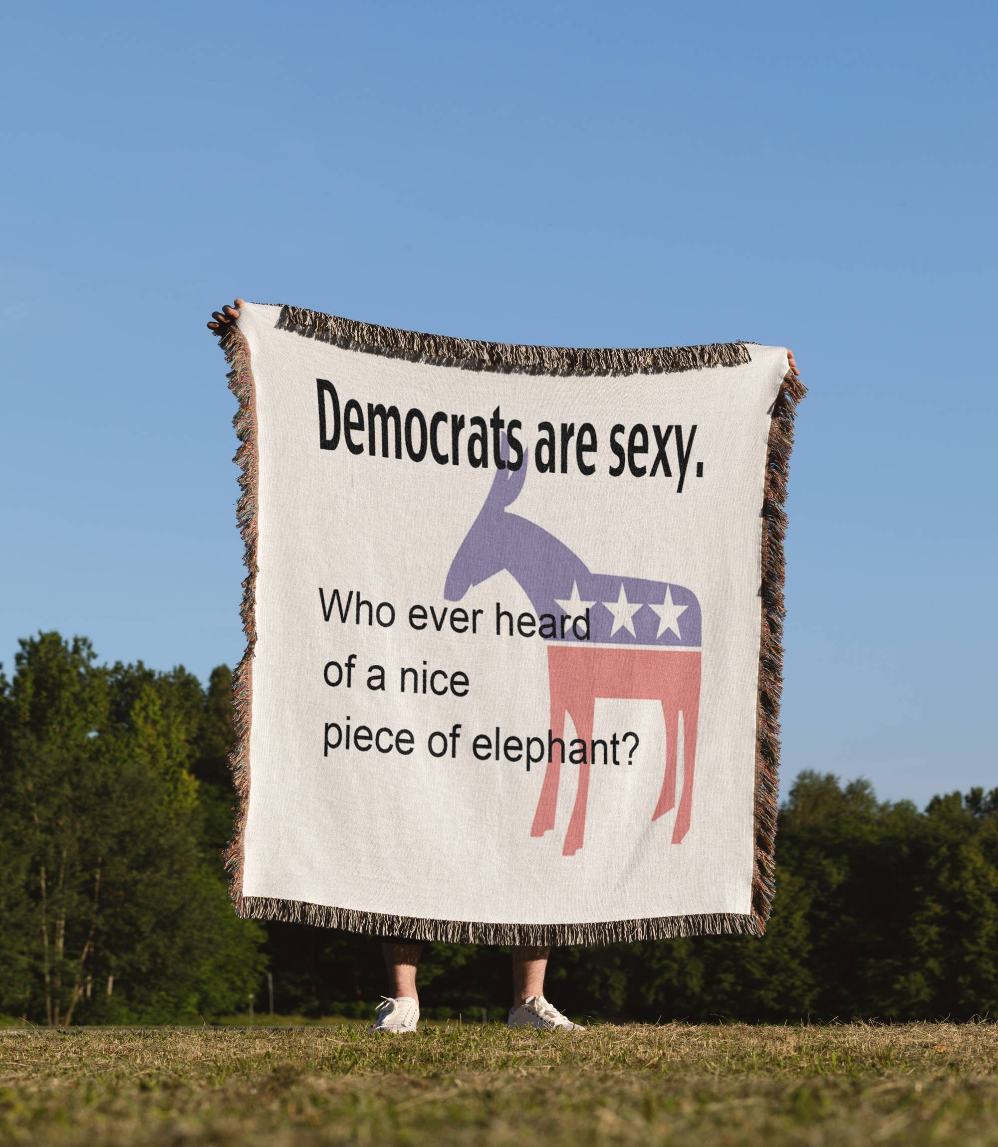 3dRose - Wholesale Throw Blanket - 3dRose, Democrats are sexy,,,, Blanket1