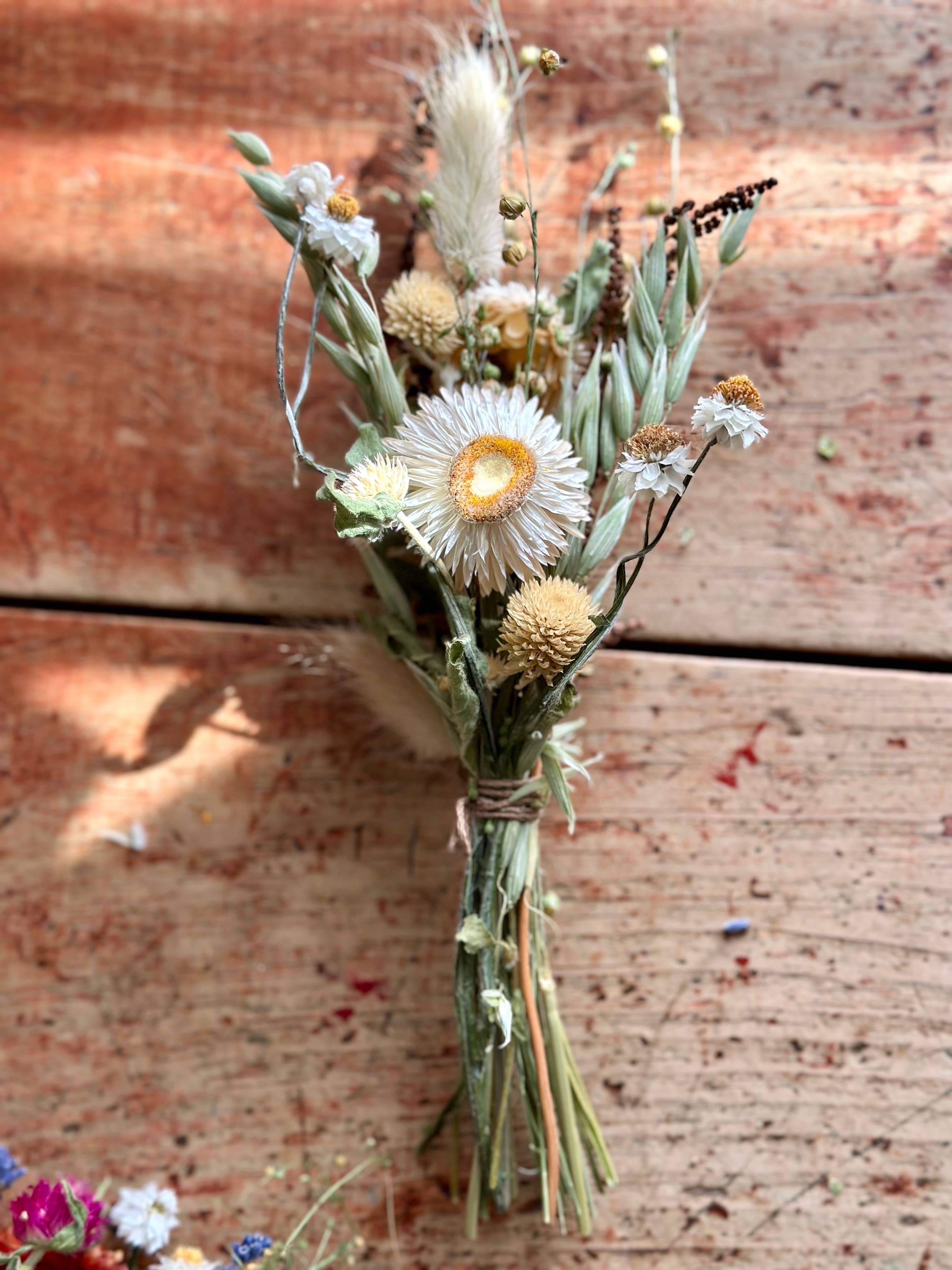 erba - Wholesale Dried/Pressed Flowers - Dried Floral Bouquets7