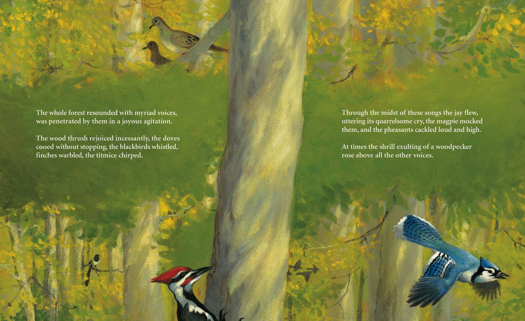 Sleeping Bear Press - Wholesale Book - Kids - Bambi's First Day Picture Book3