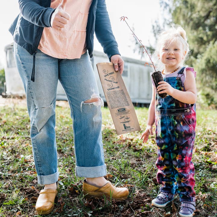 The Jonsteen Company - Wholesale Plant Seeds - Kraft Bag Seedlings7