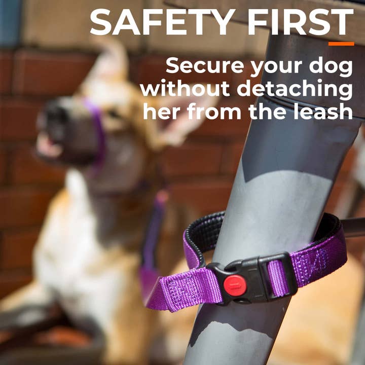 Canny CONNECT Leash | Lockable Buckle Secures Dog Safely for wholesale by CannyCo America