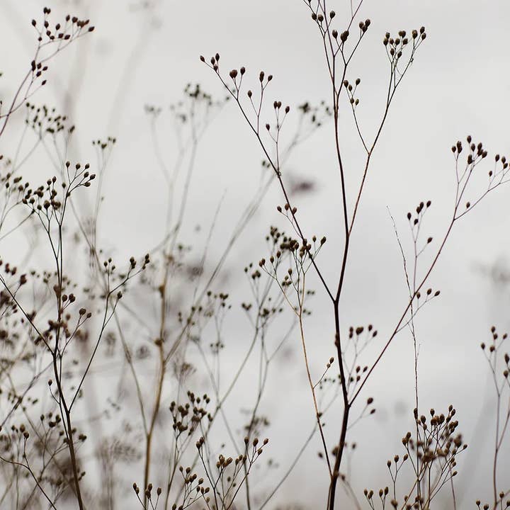 Cozy Publishing - Wholesale Fitness & Exercise Book - 11-Minute Face Yoga3