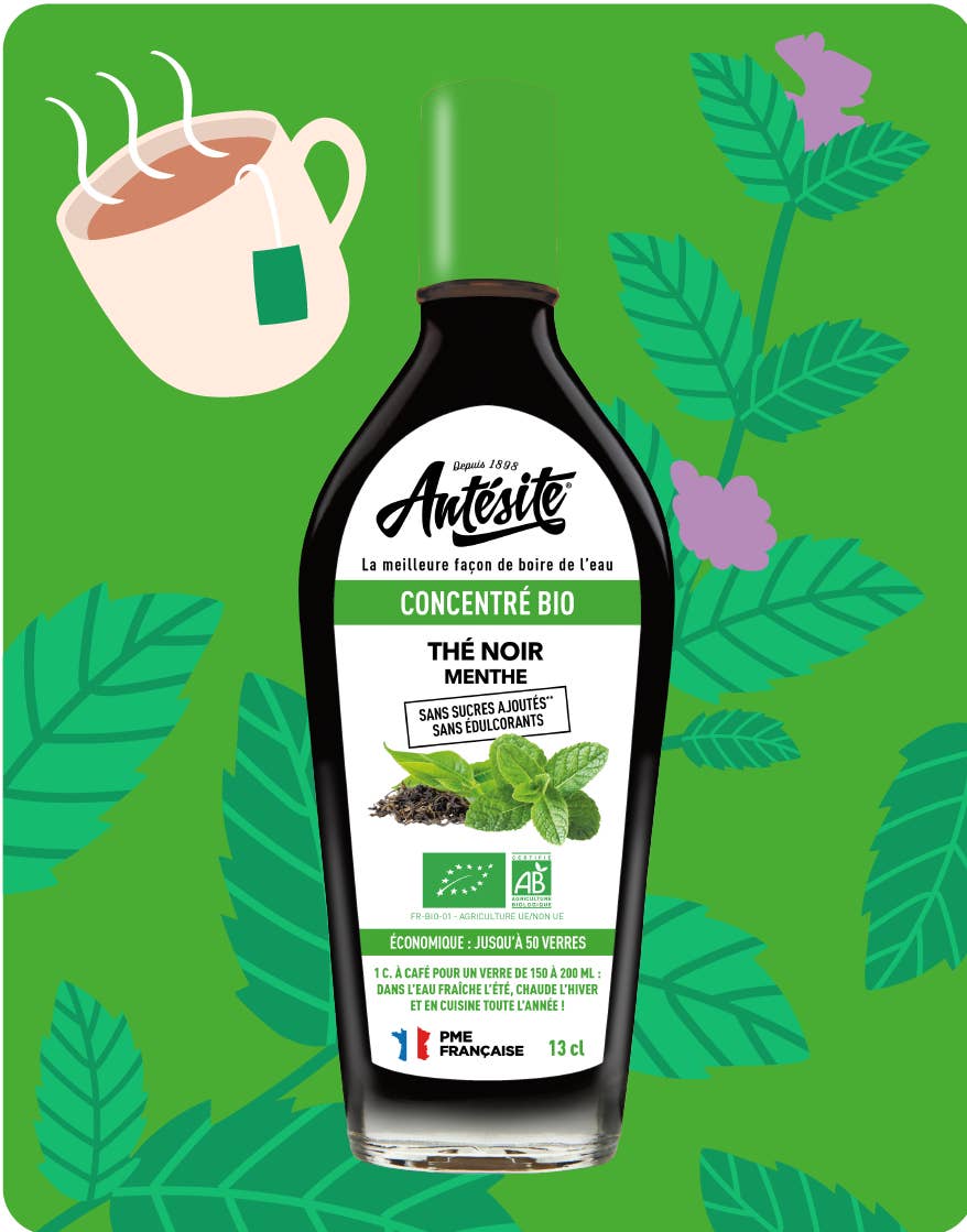 Antésite - Maison Noirot - Wholesale Beverage mix - Organic Black Tea Mint Concentrate 13 cl