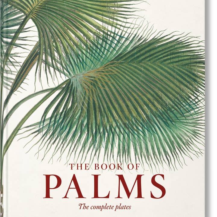 Martius. El libro de las palmeras. 45th Ed. (Spanish, Italian, Portuguese) and other Purchase Wholesale paraguas cartera. Free Returns & Net 60 Terms on Faire trending on Faire.