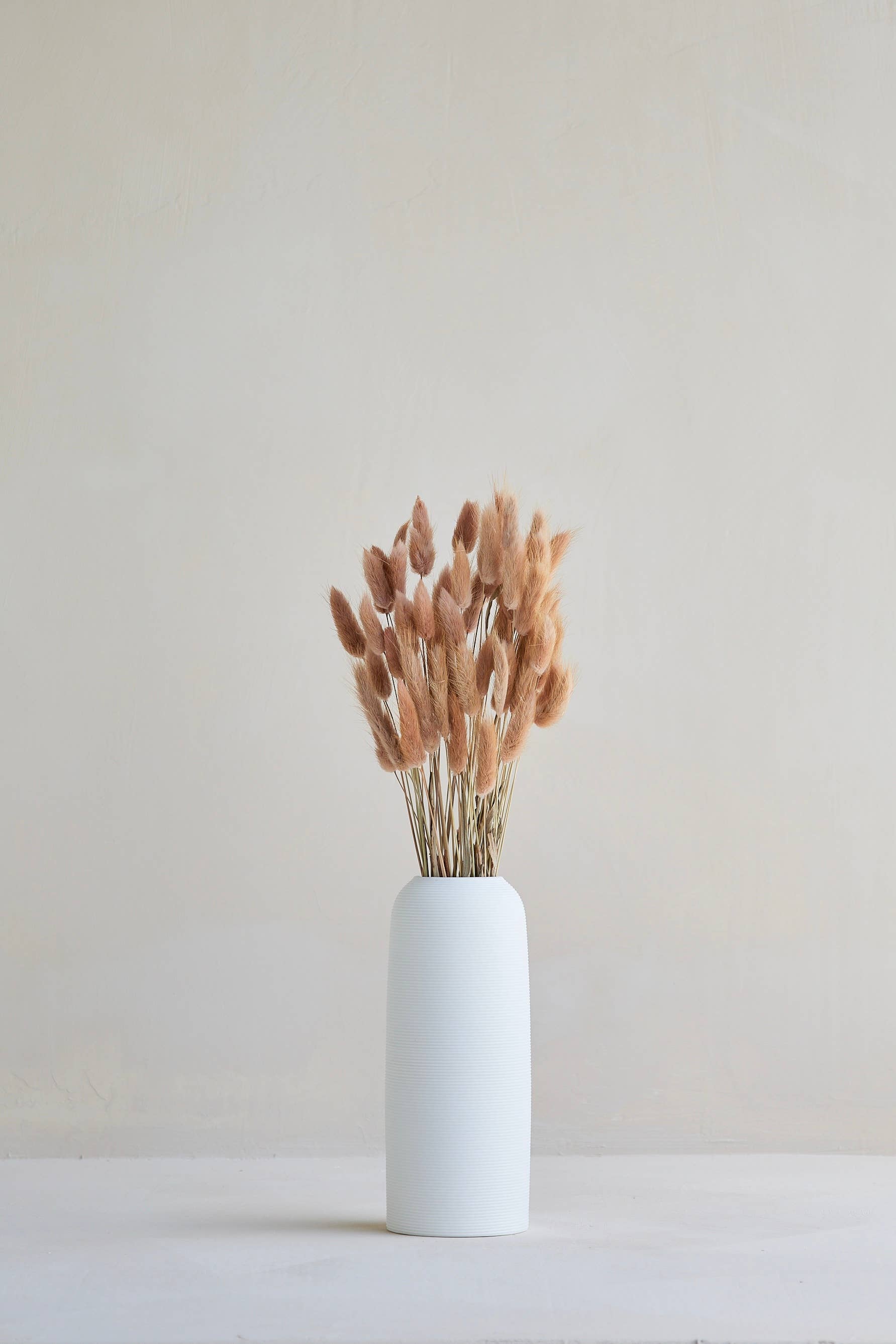 For Love Of Pampas - Wholesale Dried/Pressed Flowers - Bunny Tails in Red Bean1