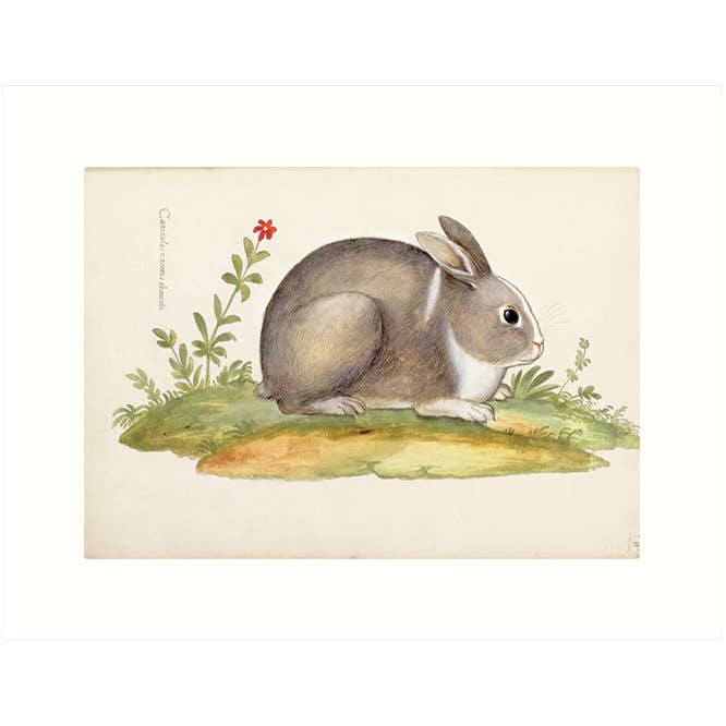 Rabbit | Blank Greeting Card for wholesale by Lucca Paperworks