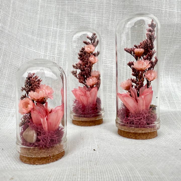 Fairy Grove Mini Terrarium Floral Glass Cloche Curiosity Jar for wholesale by CA Studios
