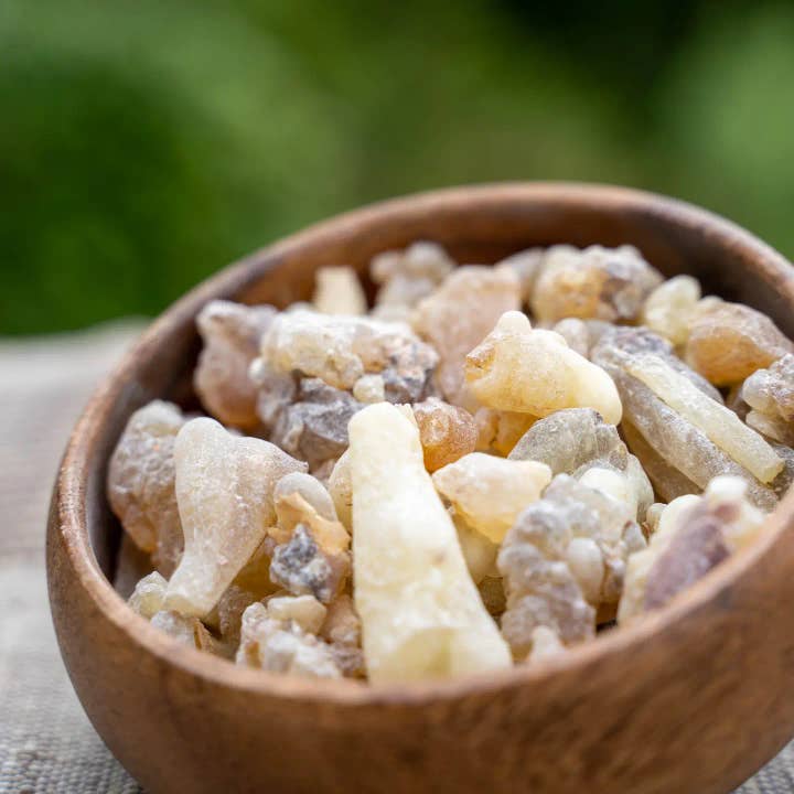 Boswellia Frereana (Maydi) for wholesale by Sacred Resin Imports