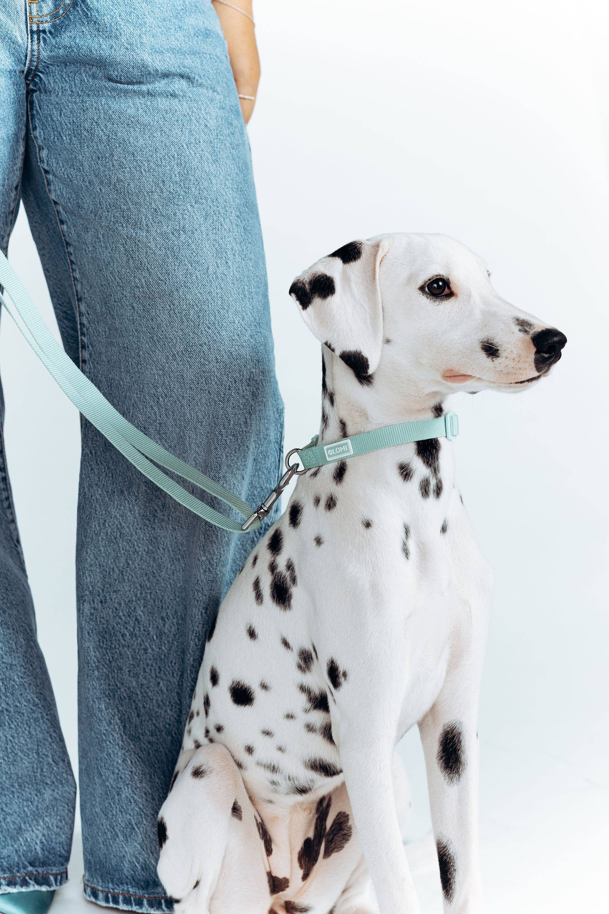 LOMI Pet Care - Wholesale Pet Collar - Dog - DOG COLLAR - ECO9