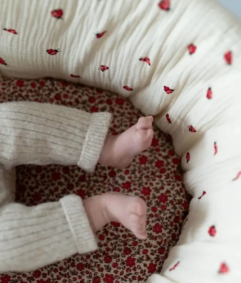 Manufacture des bébés français - Wholesale Bassinet - Baby - Bassinet cover Ladybugs8