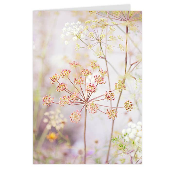 Vouwkaart "Geliefde Schermen" voor wholesale door paruspaper. nutzfeine papeterie