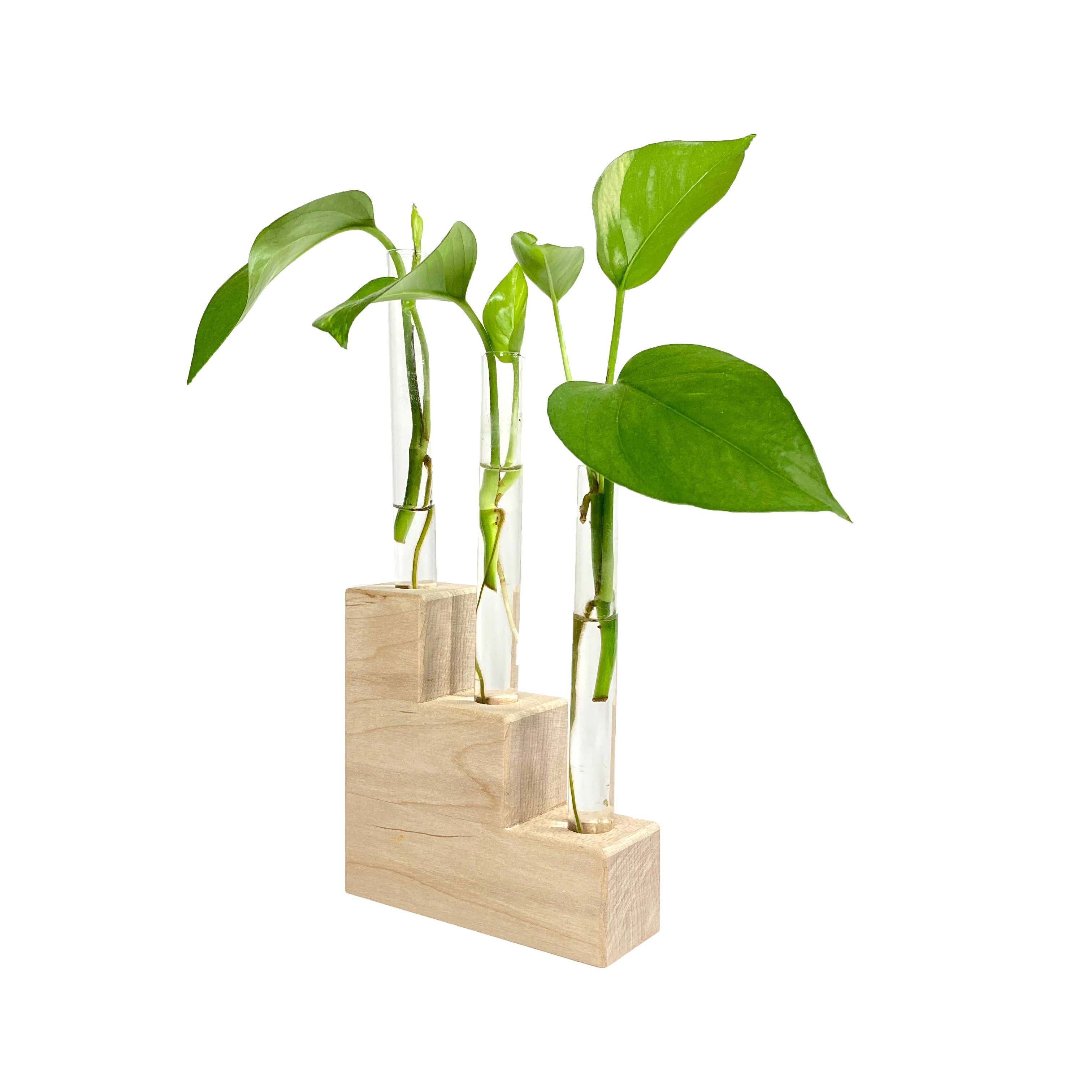 Hold on to Your Plants - Wholesale Plant Pot Stand - Riser Propagation Station5