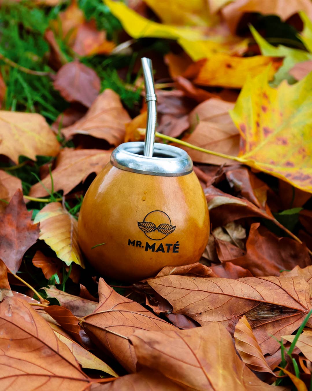 Mr. Maté - Wholesale  - GOURD MATE - CALABAZA - NATURAL (CURED)2