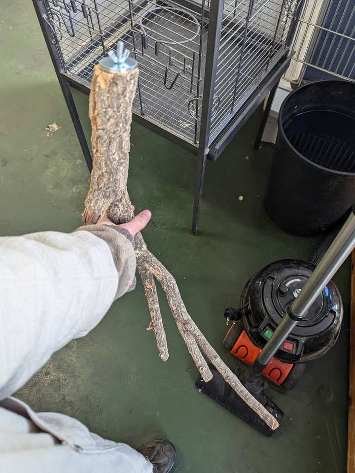 Cork perch for wholesale by The Nature Nook