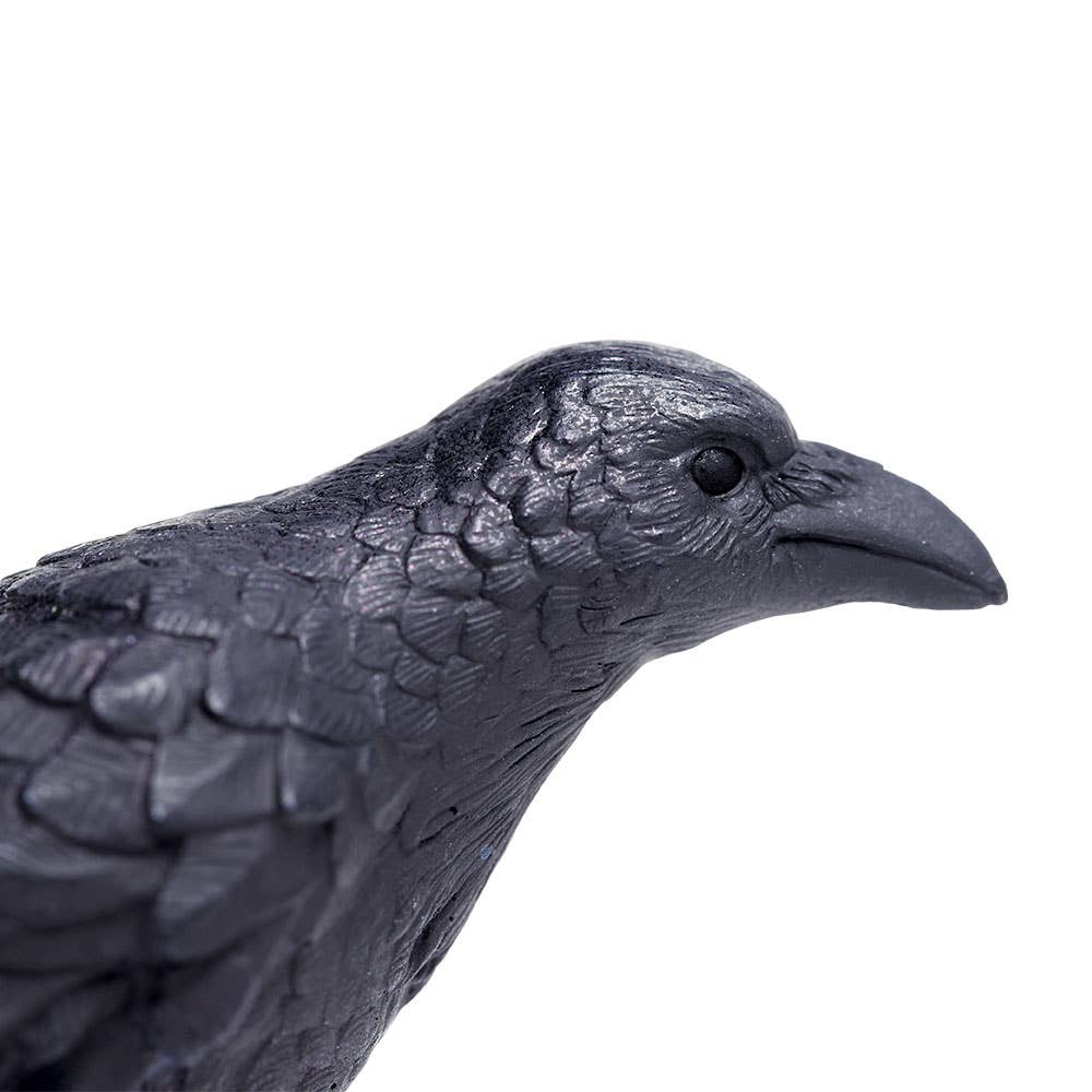 Safari Ltd. - Wholesale Decorative Figurine - Raven - 1508293