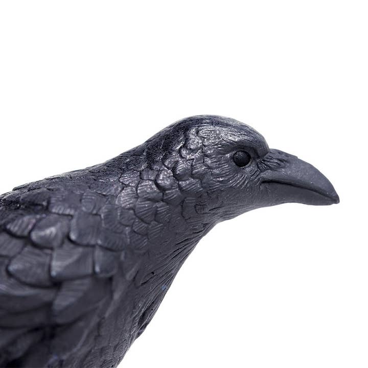 Safari Ltd. - Wholesale Decorative Figurine - Raven - 1508293