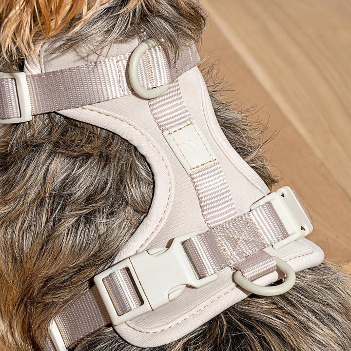 Wild One - Wholesale Pet Harness - Dog - Harness44