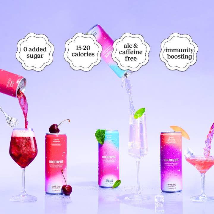 Moment - Wholesale Flavored/Infused Water (Non-Carbonated) - Moment Botanical Water Mixed Variety 18 pack