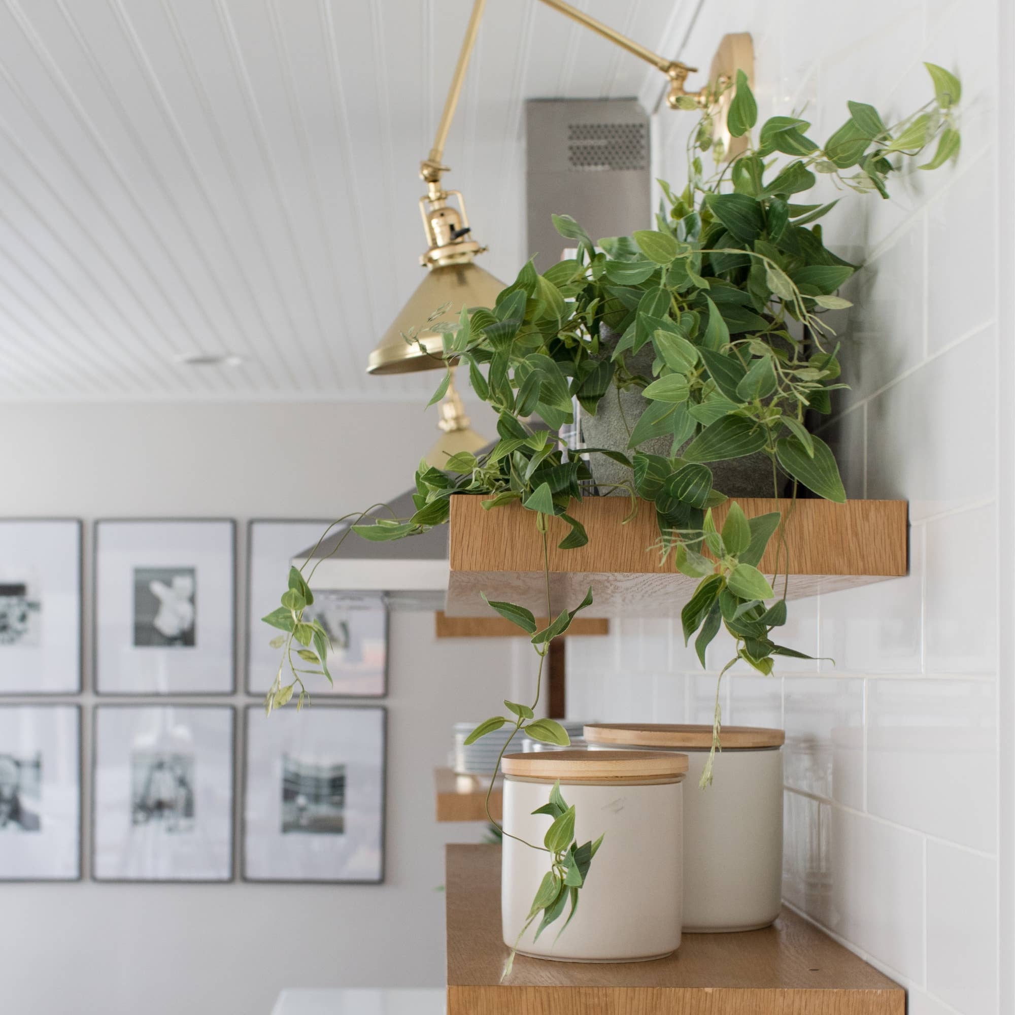 Afloral - Vente Plantes artificielles - Plante Artificielle de Luxe Suspendue Tradescantia - 104 cm5