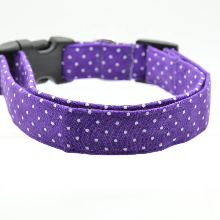 Purple Pin Dot Collar for wholesale by Dog Collar World