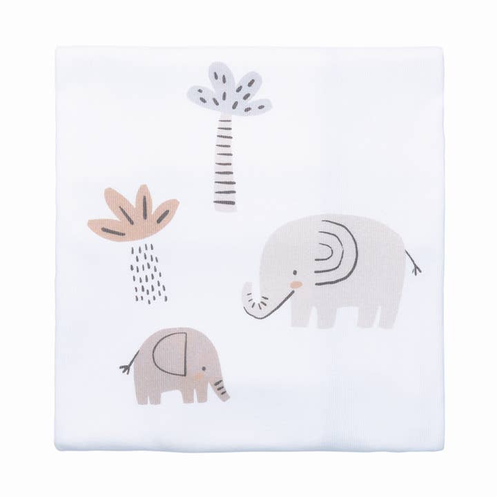 16875 - Blanket - SS 26 for wholesale by FS Baby