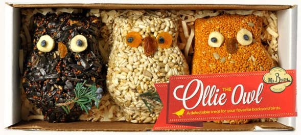 Mr Bird - Wholesale Ornament Set - Ollie The Owl - 3 Pack9