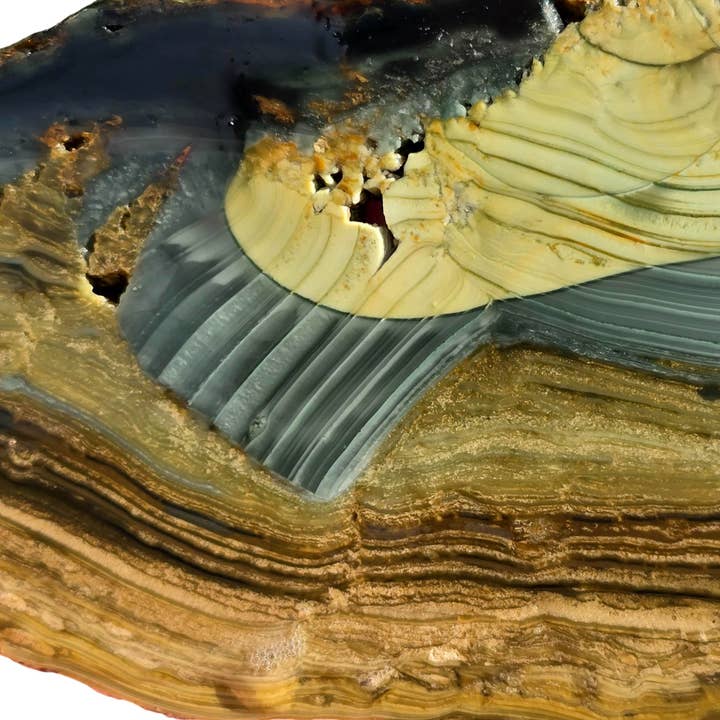 Dalle de jaspe Blue Mountain – Traits de pinceau avec orbes – Classique de l'Oregon pour la vente par Lapidary Central