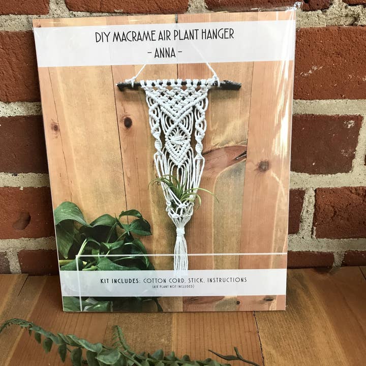 Tangled Up In Hue - Wholesale DIY Craft Kit - DIY Macrame Air Plant Hanger kit - The Anna