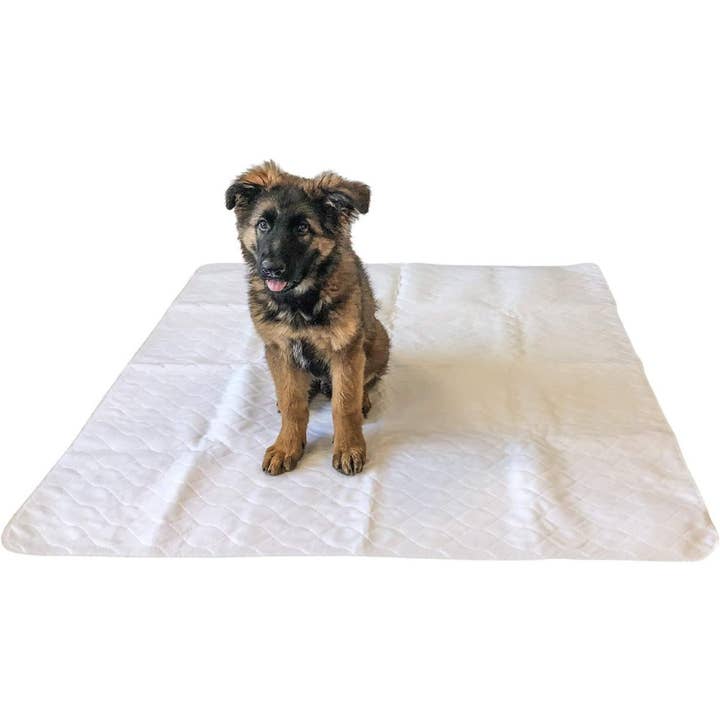 Midlee Designs - Wholesale Pet Pee Pad - Dog - 47" x 47" Dog Pee Pad - Pack of 2 - Washable & Reusable