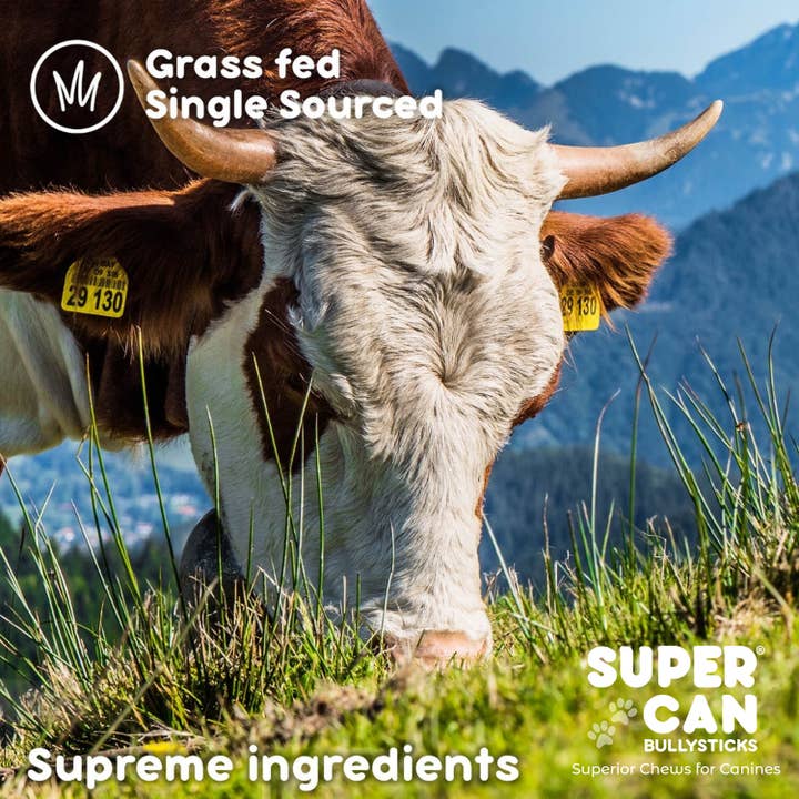 SuperCan Bully Sticks - Wholesale Pet Treats - Dog - 6" Cow Tails5