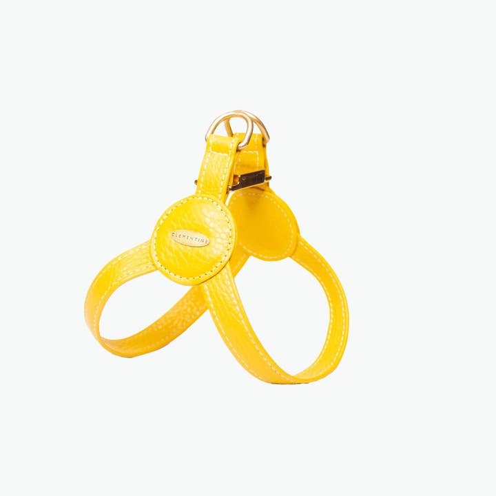 Harnais Devon - JAUNE, très petit pour la vente par Clementine est dogs