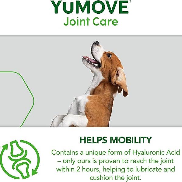 Pet Vital Care – wholesale Pet supplement – Dog – Lintbells | YuMOVE Adult Dog | Hip and Joint 300 tablets