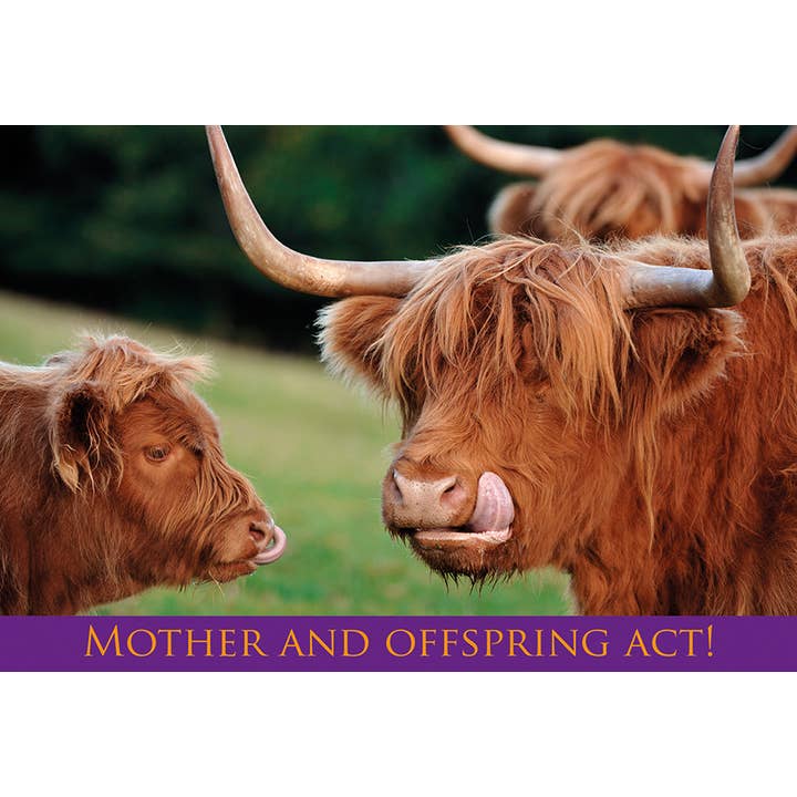 Medium Postcard Mother and Offspring Act! for wholesale by Island Blue Publishing