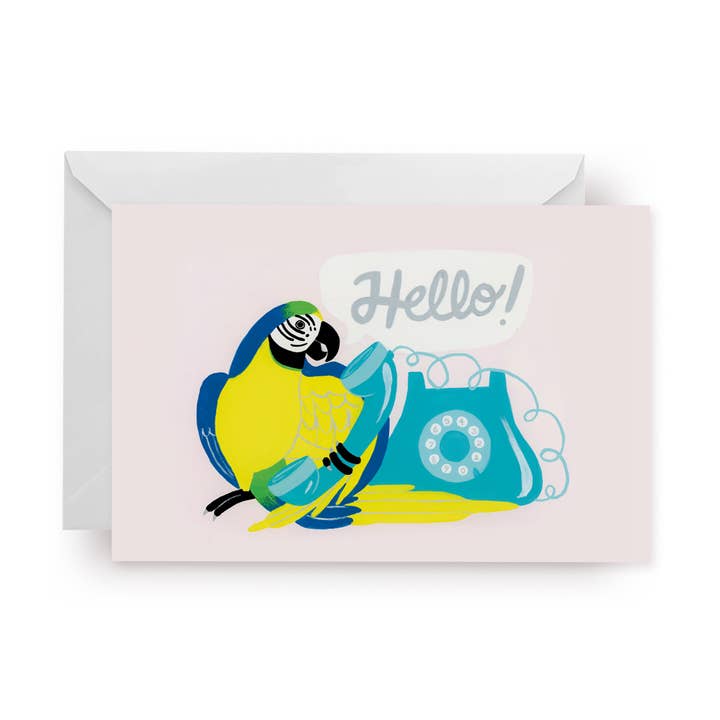 Parrot Hallo voor wholesale door Hux Loves Honey