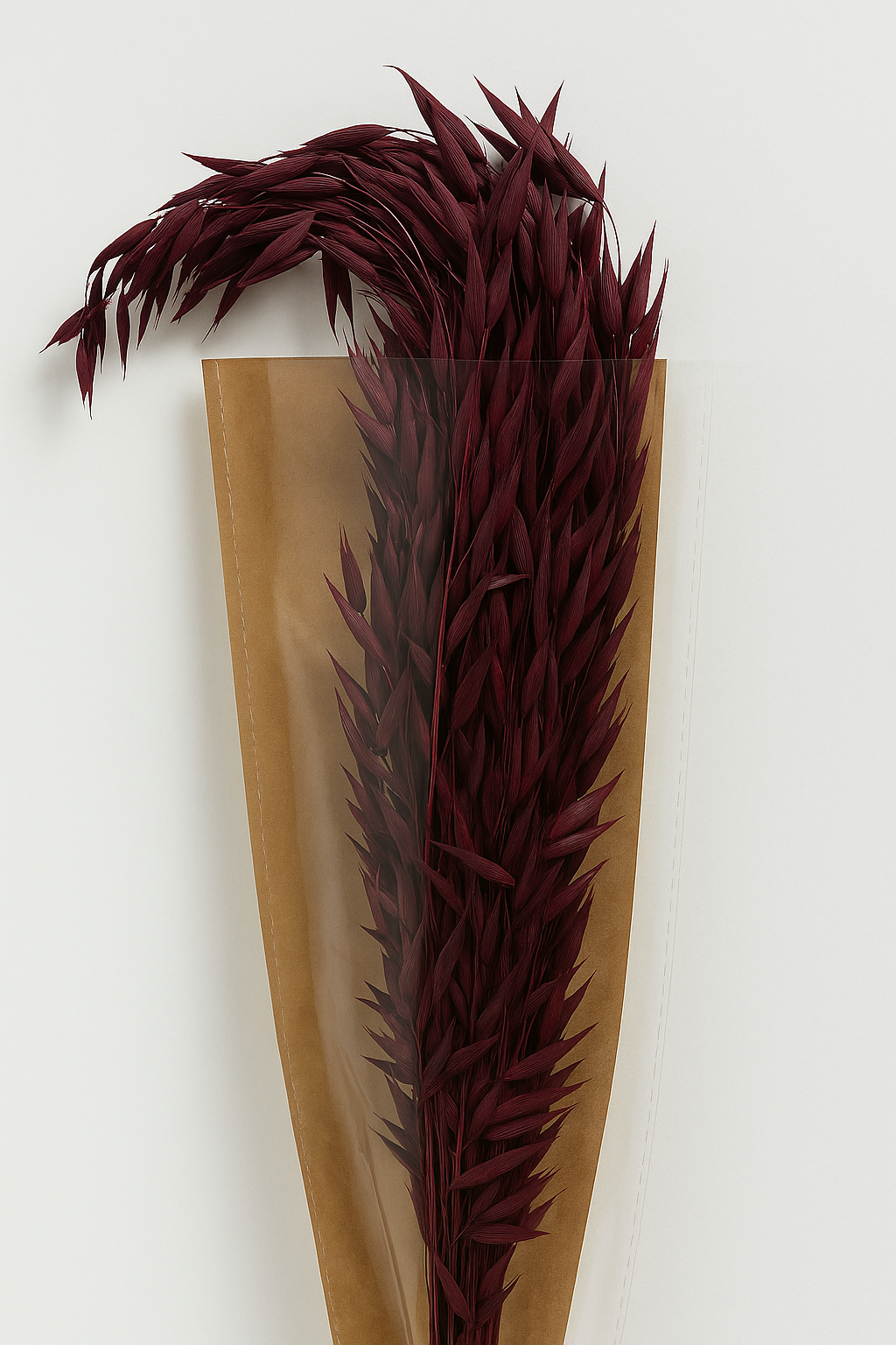 GS Foliage – Engroshandel Tørrede/pressede blomster – Avana dekorativt græs – 1 bundt (konserveret)4