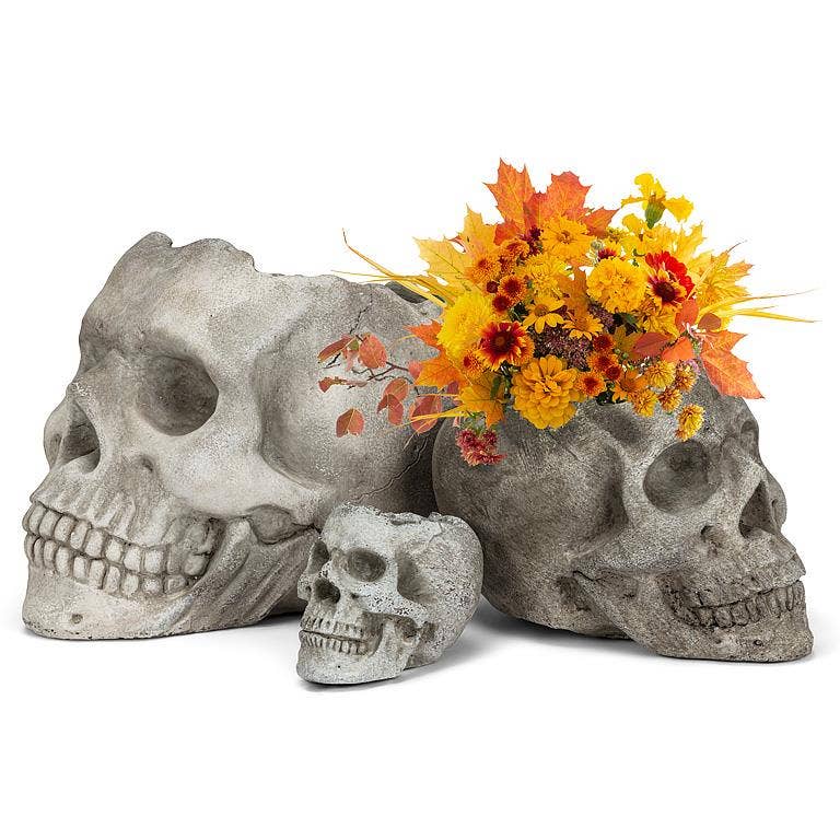 Abbott – Engroshandel Plantekrukke – Lg Skull Planter-5"H-9704