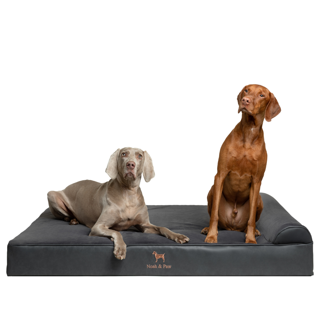 NOAH AND PAW LLC – Großhandel Haustierbett – Katze/Hund – Orthopädisches Hundebett aus Kunstleder mit Memory-Schaum und kühlendem Gel, klassischer Stil4