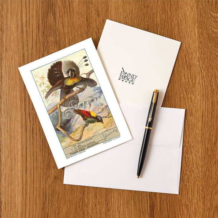 Found Image Press - Wholesale Stationery/Notecard Set - Greeting Card BD-264 Birds of Paradise1