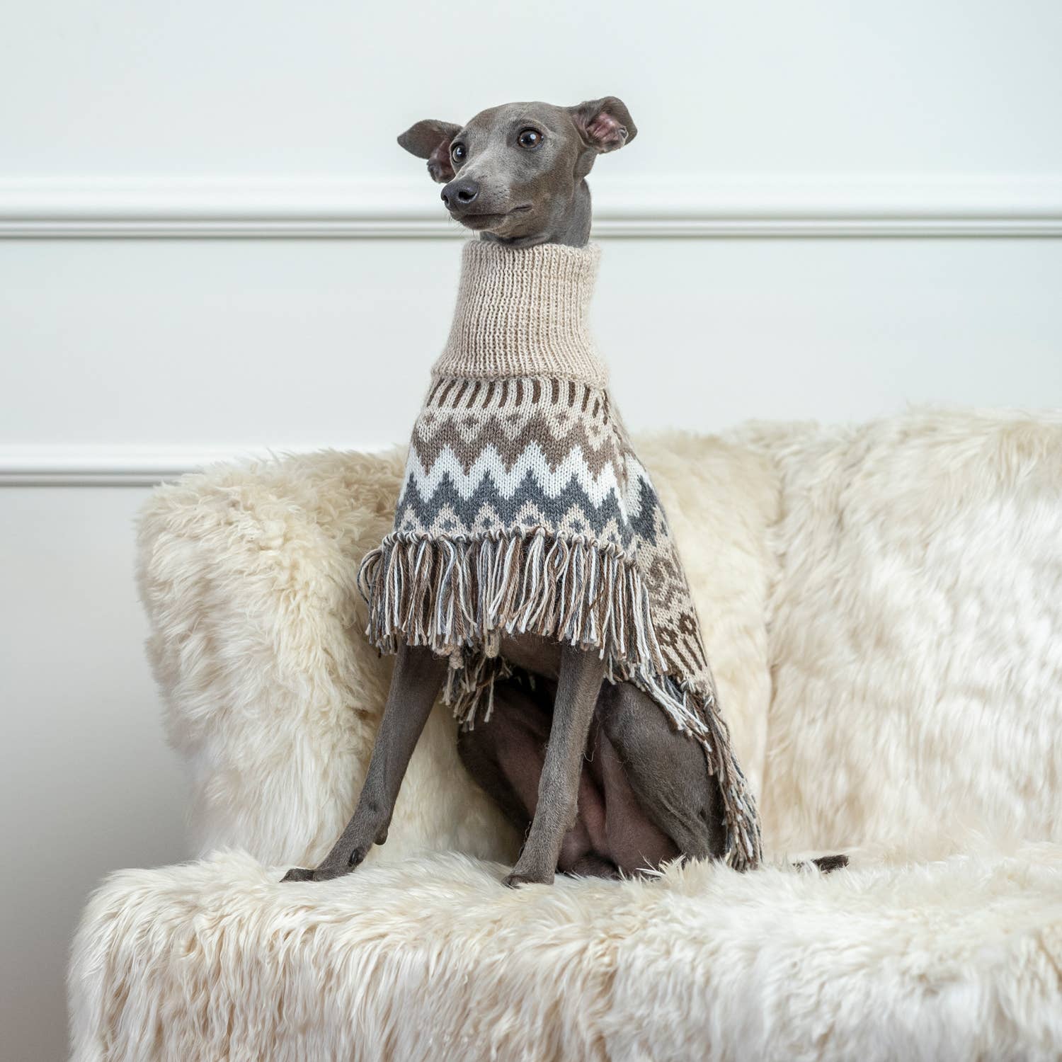 Alqo Wasi – Engroshandel Sweater - Hund – Woolly vinter alpaka hundeponcho