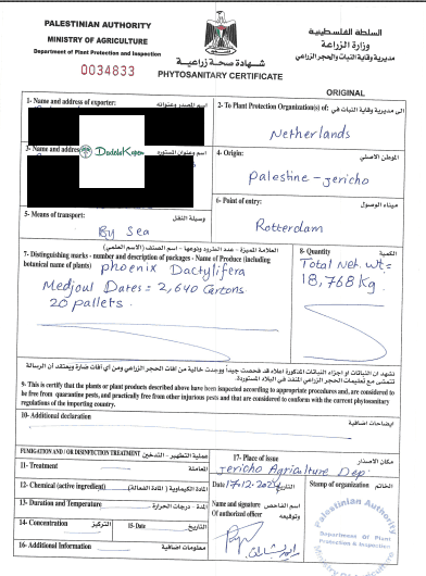 dadelskopen.nl – Fruta seca/desidratada por atacado – Tâmaras Medjoul Premium da Palestina3