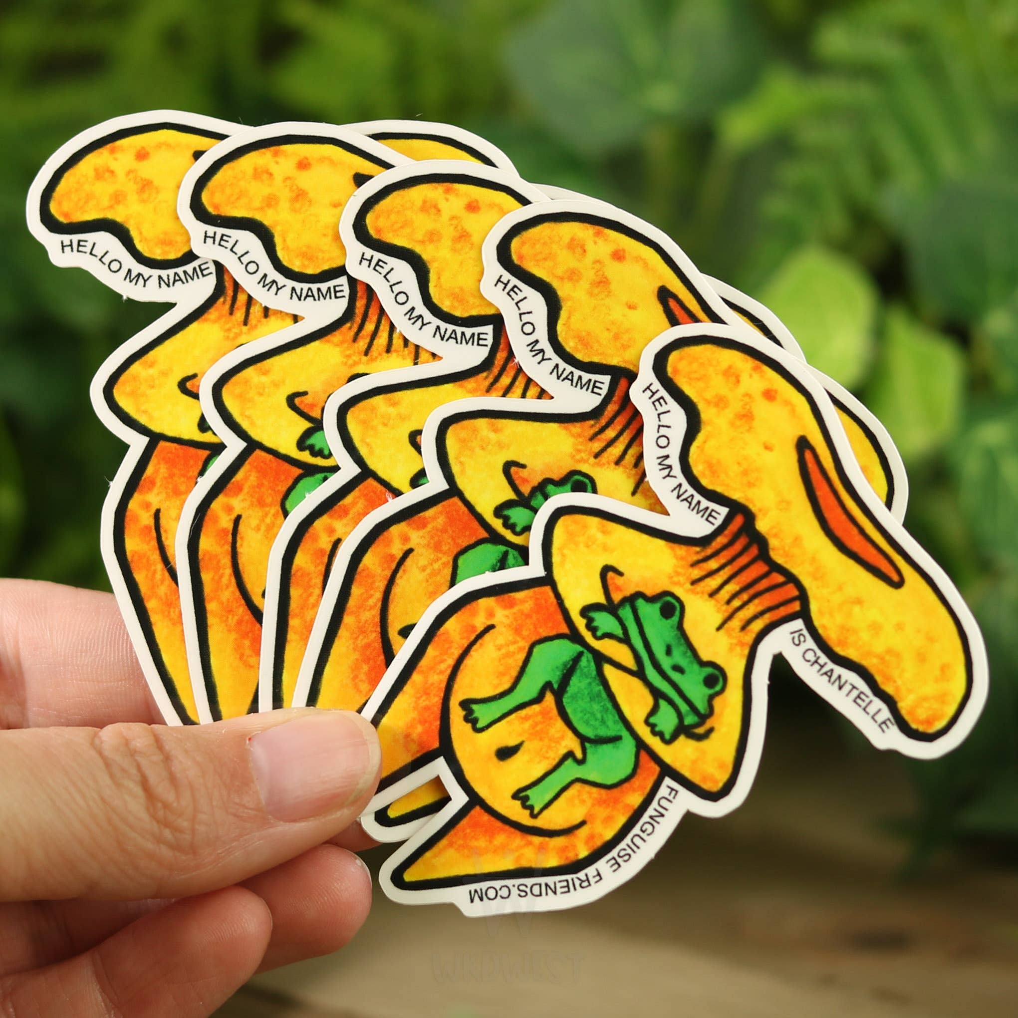 Funguise Friends by WkdWest - Wholesale Sticker - Vinyl Funguise® Sticker - Chantelle2