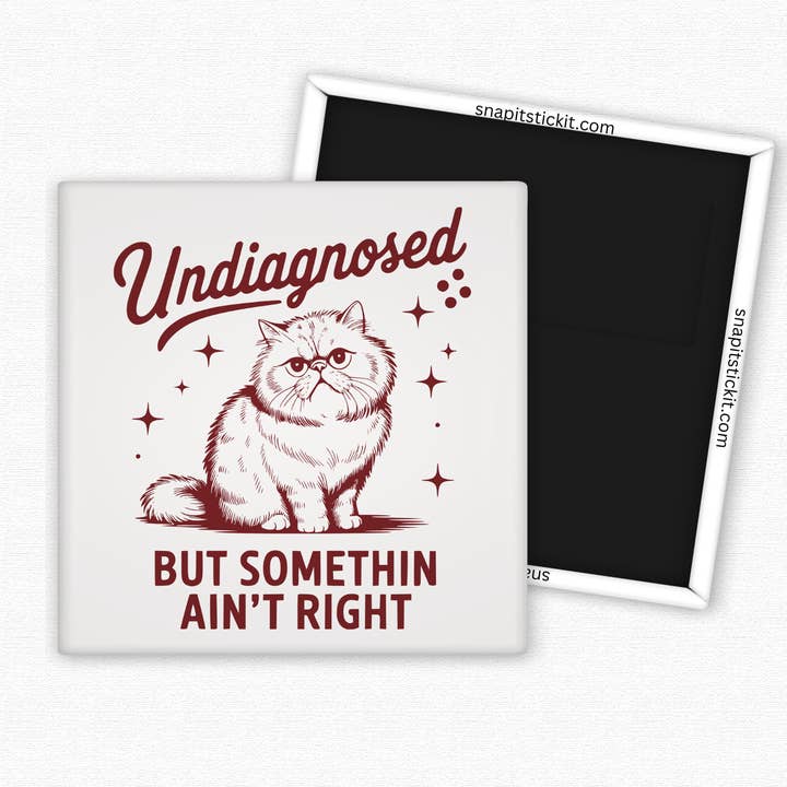 Snap It Stick It - Wholesale Magnet - Undiagnosed But Somethin' Ain't Right- Cat Humor 2x2 Square Magnet