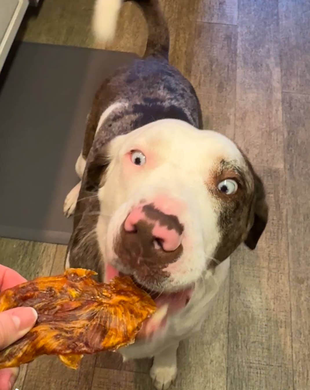 Vinny's Munch & Play - Wholesale Pet Treats - Dog - Smoked Chicken Dog Jerky 1