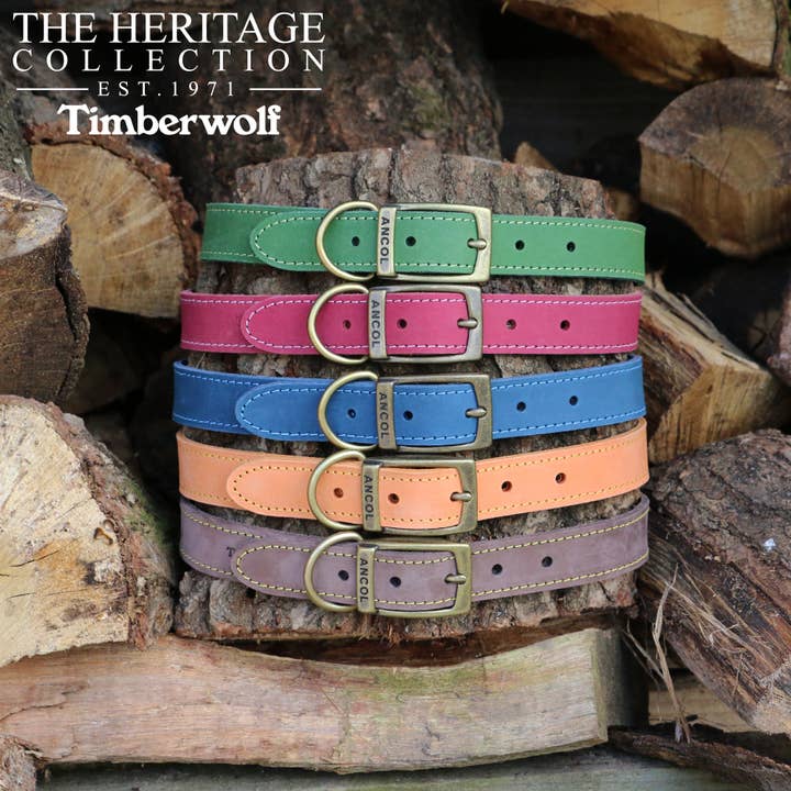 Ancol Pet Products Ltd - Vendita all'ingrosso Collare - Cani - Collare in pelle Timberwolf Sable2